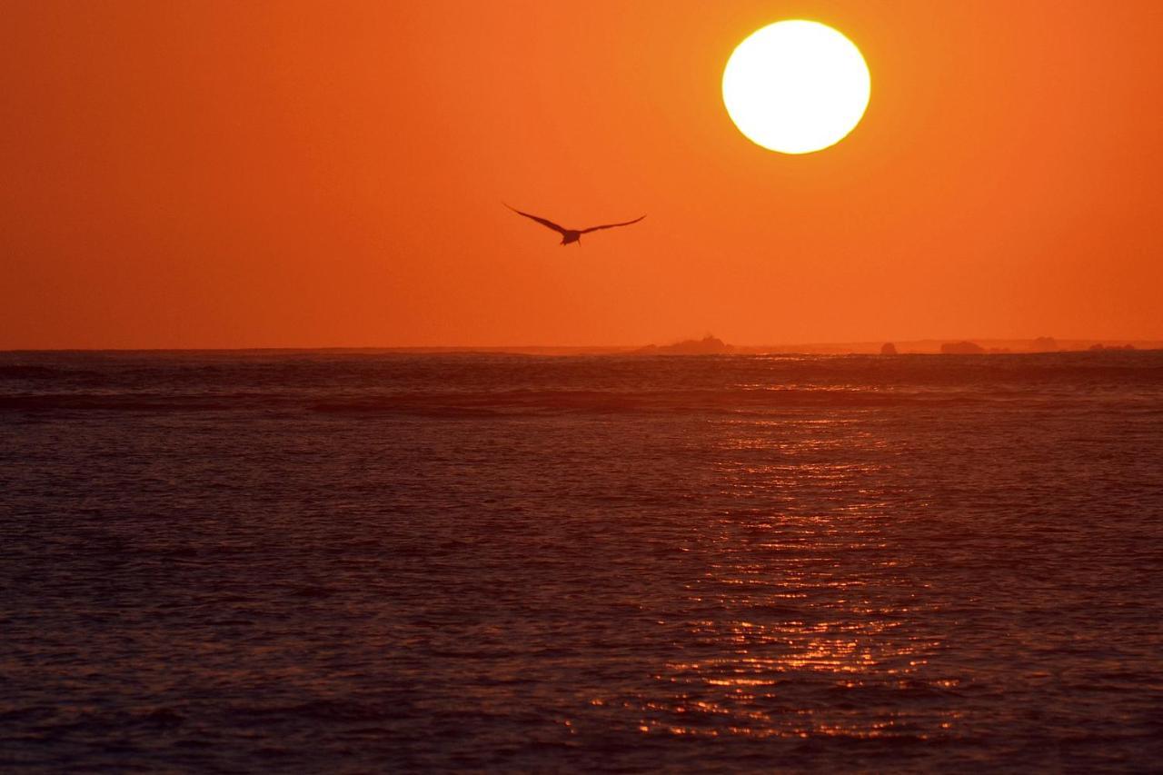 Sunset Chill Out Bed & BreakfastSámara エクステリア 写真