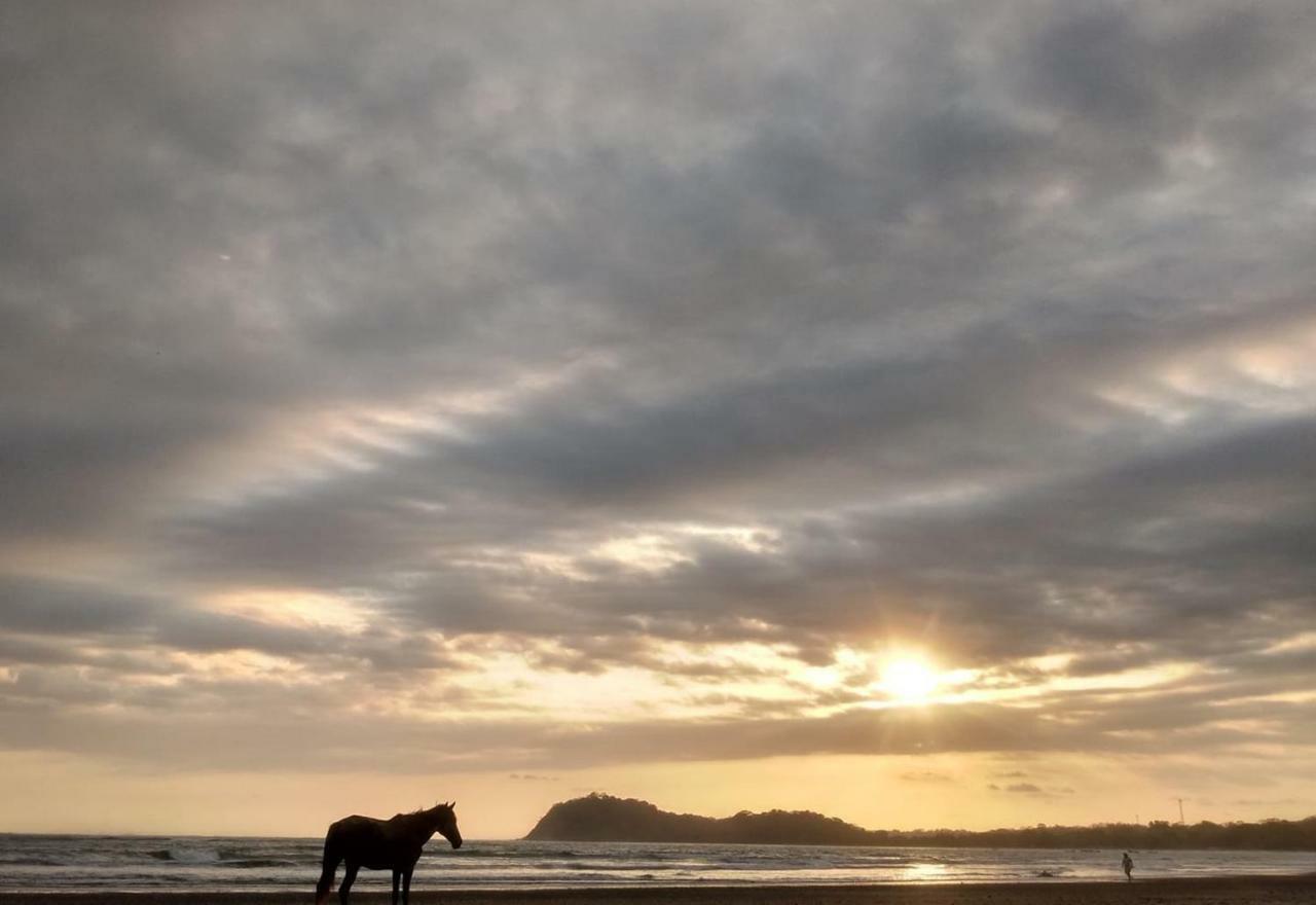 Sunset Chill Out Bed & BreakfastSámara エクステリア 写真
