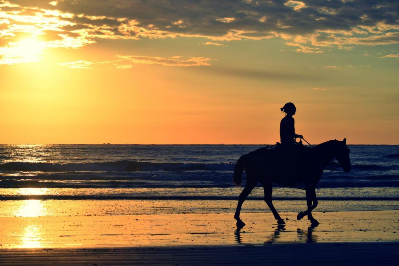 Sunset Chill Out Bed & BreakfastSámara エクステリア 写真